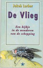 De vlieg 9789065562241 J. Lorber, Boeken, Verzenden, Zo goed als nieuw, J. Lorber