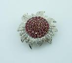 Broche - 18 karaat Witgoud, Geel goud Robijn - Diamant