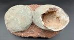 Dinosaurus - Fossiele matrix - crystallized dinosaur egg, Verzamelen