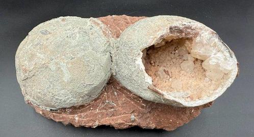 Dinosaurus - Fossiele matrix - crystallized dinosaur egg, Verzamelen, Mineralen en Fossielen