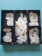 Parelmoer, Papier-maché - China - Meiji periode (1868-1912)