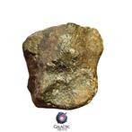 Mooie NWA Ongeclassificeerde Gewone Chondriet Meteoriet 373, Verzamelen, Mineralen en Fossielen