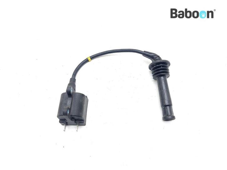 Bobine Triumph Trophy 1200 1996-2003 Cyl. 3, Motoren, Onderdelen | Overige, Gebruikt, Verzenden