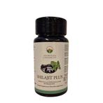 Shilajit Plus (350 mg 50% fulvic acid + 150 mg Ashwagandha), Ophalen of Verzenden