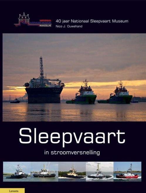 9789086162680 Sleepvaart in stroomversnelling, Boeken, Informatica en Computer, Nieuw, Verzenden