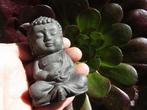 SHUNGITE Hoge Energie Boeddha (83mm) met Stand & Kwarts