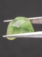 Natural Green Peridot - 5.593 ct - rough gemstone - for face, Sieraden, Tassen en Uiterlijk, Edelstenen, Nieuw