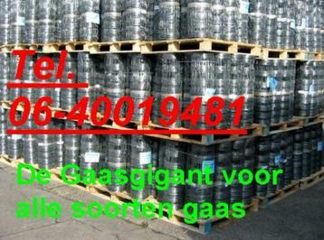 SCHAPENGAAS, standaard en zwaar voor scherpe prijzen beschikbaar voor biedingen