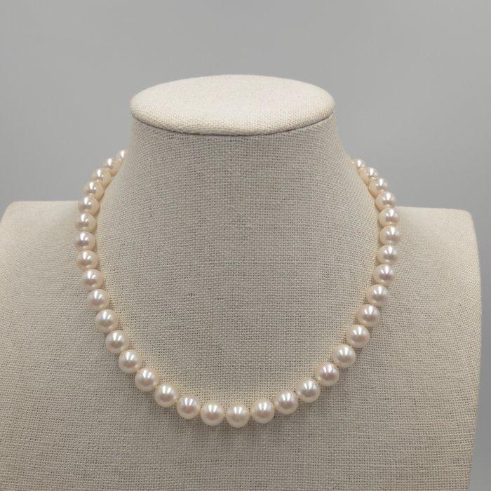 Zonder Minimumprijs - Halsketting Zilver Parel - Akoya 9,0, Sieraden, Tassen en Uiterlijk, Kettingen