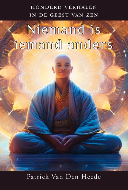 Niemand is iemand anders 9789463310543 Patrick Van Den Heede, Boeken, Esoterie en Spiritualiteit, Zo goed als nieuw, Verzenden