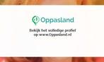 Ik ben Maria, 65 jaar oud en ik zoek oppaswerk in Leusden., Diensten en Vakmensen, Oppas en Kinderopvang
