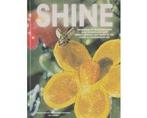 Shine - Shine, Boeken, Ophalen of Verzenden, Nieuw