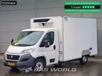 Fiat Ducato 150pk Koelwagen Zijdeur Carrier Xarios 350 230v-, Stof, Gebruikt, Euro 6, Wit