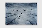 Matthieu van Riel - Flying Birds, Antiek en Kunst