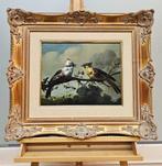 European School (XX) - Pair of exotic birds on a branch
