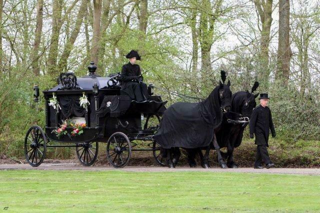 Een stijlvolle uitvaart houdt dierbare herinneringen levend, Dieren en Toebehoren, Rijtuigen en Koetsen, Overige typen, Paard
