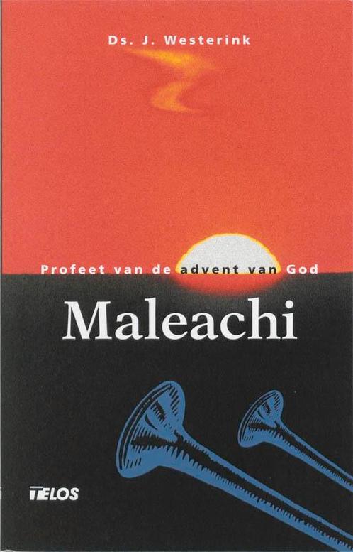De Bijbel open  -   Maleachi 9789058810557 J. Westerink, Boeken, Godsdienst en Theologie, Gelezen, Verzenden