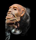 Curiosity cabinet - Rare reproduction of a tattooed Maori