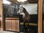 Rubberen drainage paarden stal matten klinker van Rubberdeal, Weidegang