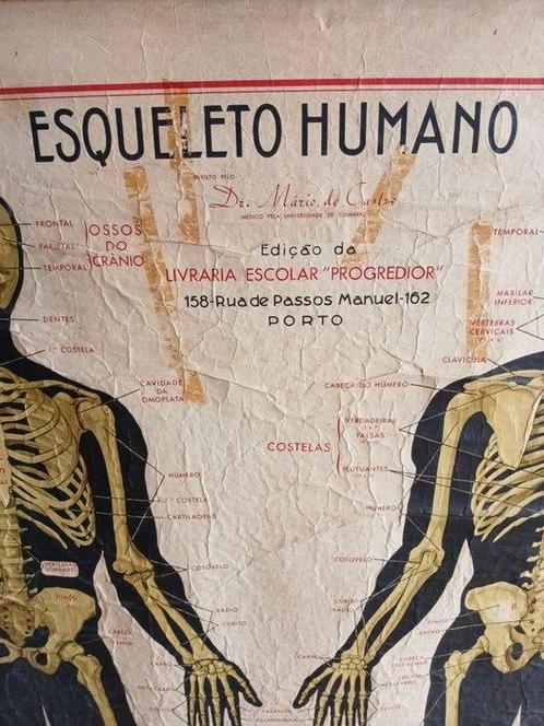 Schoolkaart - Hout, Doek, Antiek en Kunst, Curiosa en Brocante