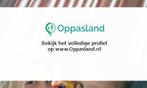 Jelle zoekt een oppas in Utrecht voor 2 kinderen voor 5 d...