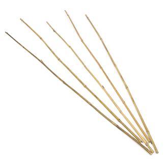 Bamboestokken | Nature | 120 centimeter | 5 stuks, Tuin en Terras, Planten | Tuinplanten, Verzenden