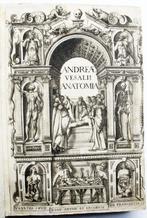 Vesalio - Anatomia - 1604