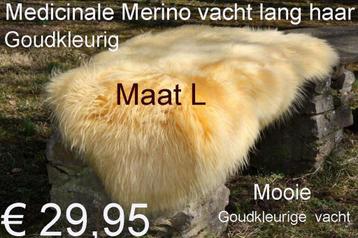 Schapenvacht 100% Medicinaal Merino Lang Haar  € 29,95 Vacht beschikbaar voor biedingen