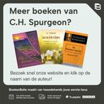 Vrede vinden in de stormen van het leven 9789402908541, Boeken, Verzenden, Zo goed als nieuw, C.H. Spurgeon