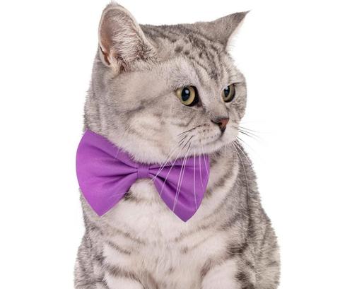 Katten strikjes in diverse kleuren!, Dieren en Toebehoren, Katten-accessoires, Nieuw, Verzenden