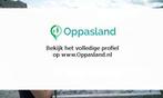 Selcan zoekt een oppas in Eindhoven voor 1 kind voor 4 da..., Vacatures, Vacatures | Schoonmaak en Facilitaire diensten