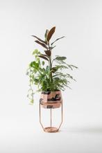 Francesc Gasch - Bloempot - Genummerde editie 12/12. Faceta, Antiek en Kunst