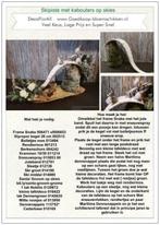 DIY Werkbeschrijving Skipiste met kabouters, Ophalen of Verzenden, Nieuw