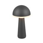 FUNGO - Antracite, Huis en Inrichting, Lampen | Tafellampen, Verzenden, Nieuw