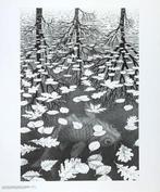 M.C. Escher (1898-1972) - after - Three Worlds Drei Welten -