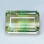 Meerkleurig Toermalijn - 91.18 ct - nternational Colored, Nieuw