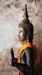 Boeddha zijkant 70x130cm Tuinschilderij - Customize-it, Nieuw, Verzenden
