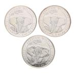 Somalië. 100 Shilling 2021 Elephant, 3x1 Oz (.999), Postzegels en Munten, Munten | Europa | Niet-Euromunten