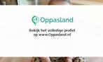 Mel zoekt een oppas in Utrecht voor 1 kind voor 4 dagen i..., Vacatures