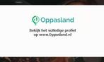 Ik ben Ginger, 32 jaar oud en ik zoek oppaswerk in Nieuwe..., Nieuw