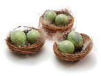 Vogelnestjes met 2 kwarteleitjes en veertjes matcha groen 7, Huis en Inrichting, Ophalen of Verzenden, Nieuw