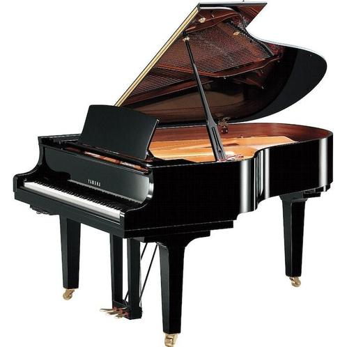 Yamaha Vleugels, Muziek en Instrumenten, Piano's
