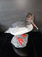 Chineese zaagbek Taxidermie volledige montage - Mergus, Verzamelen, Nieuw
