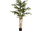 Mica Decorations Kunstplant Olijfboom in Pot - H183 x Ø130, Verzenden
