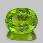 1 pcs Geel, Groen Olivijn - 15.66 ct - International, Sieraden, Tassen en Uiterlijk, Edelstenen, Nieuw
