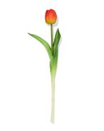 HEMA Kunstbloem 34cm tulp oranje 3+2 gratis, Verzenden