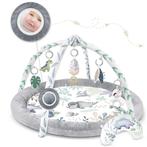 Complete Babygym Dinosaurus Set - Ideaal Cadeau met Speel..., Ophalen of Verzenden, Nieuw