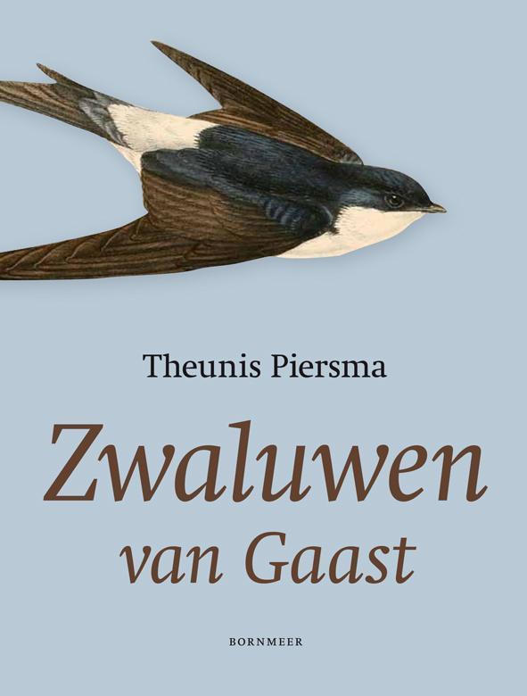 Zwaluwen van Gaast 9789056153212 Theunis Piersma, Boeken, Literatuur, Zo goed als nieuw, Verzenden