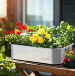 Box Decks RVS plantenbed set 3 buiten/binnen groenten kruide, Boeken, Verzenden, Nieuw