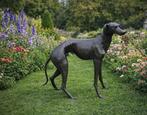 Beeld, Bronze: XL Greyhound Dog - 77 cm - Brons - 2026